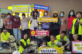 “云养”导盲犬怎样养？郑州四只云养导盲犬与家长首次见面图片