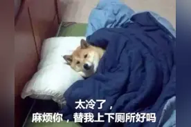 天气｜0℃！天津本周4股冷空气虐哭你图片