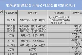 银隆股权出售乏人问津 董明珠造车梦风雨飘摇图片