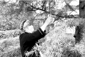 在郑州选择树葬将获1000元补贴 未来河南福寿园将设立电子信息屏供亲属祭祀图片