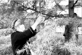 在郑州选择树葬将获1000元补贴 未来河南福寿园将设立电子信息屏供亲属祭祀图片