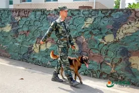 你知道警犬也会流泪吗？图片