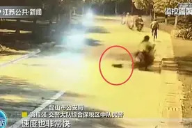 女子报警有人称交通肇事逃逸？民警：“元凶”是窜出来的野猫图片