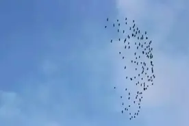 我想你呦，当年的大辫子，当年的帅小伙图片