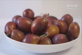 我在南疆丨伽师瓜王变身西梅大王视频封面