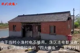 从小木船搬进大别墅，扬州渔民：这样的日子以前想都不敢想图片