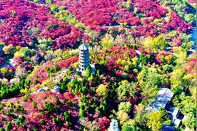 沿济泰高速，赏蓝天白云绿水青山，泰山北面，展开一幅山水画卷图片