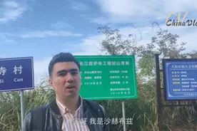外国人眼中的小康｜沙赫布兹大别山“放牛”记图片