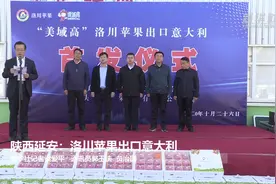 陕西延安：洛川苹果出口意大利视频封面
