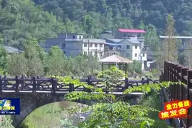 喜迎旅发会！延平溪源峡谷景区木栈道基本建成图片