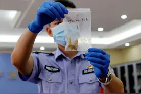 宁波海关破获一起走私珍贵动物制品进境案图片
