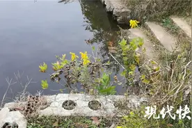 南京水库溺亡案推人者父母：女儿精神状态差，近年无来往图片