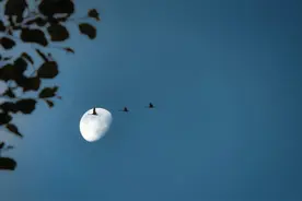 陌生人，我也为你祝福图片