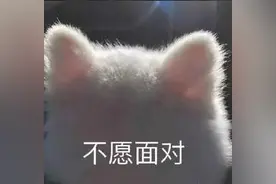 今年你还有18天不用上班！还有这些假别忘记休了图片