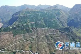 罗甸脐橙上市抢“鲜机”打通农村产业流通末梢给力“黔货出山”图片