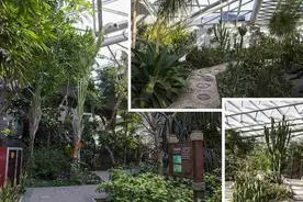 首批入选！西安世博园成为西安研学旅行实践教育基地图片