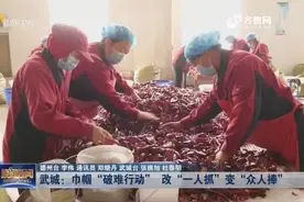 武城实施“破难行动”，“一人抓”变“众人捧”，妇女家门口就业视频封面