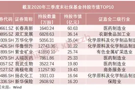 名单来了！社保基金、证金公司、中央汇金三季度持股曝光图片