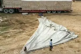 狗狗和主人一起收雨布，乖乖趴着帮忙压角，网友：别人家的狗狗图片