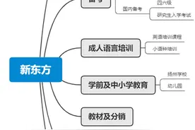 新东方(9901.HK)二次上市，打新之前你应该了解这些图片