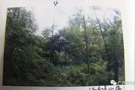 广西27岁“男友”杀害13岁女孩抛尸荒野，逃亡17年被抓图片