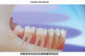 新知问答 | 你为什么还在长智齿？图片