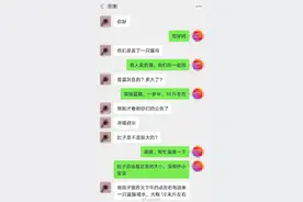 上海一市民捡到走丢猫咪后欲购买拒绝归还：我会把猫放回大自然图片