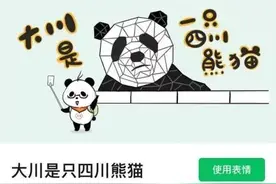 四川大学表情包，有点儿意思图片