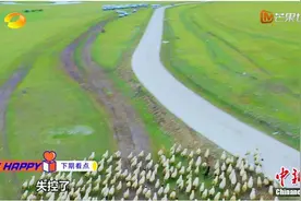 易车《新手驾到》第十一期周深偷偷抹眼泪 自驾之旅发生了啥？图片