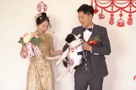 宠物狗一脚踹开新娘，扭头向新郎要亲亲，网友调侃：白养了图片