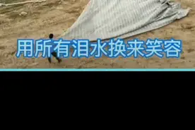 货车司机一人收雨布，狗狗默契配合！网友：这眼力劲儿，杠杠的图片