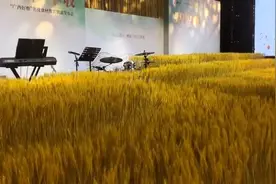 寻味 · 丰收：“广西好嘢”名优食材对接餐饮供需图片