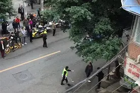 男子开共享汽车撞倒两行人，声称车内突现毒蜘蛛，平台方：无法确认图片