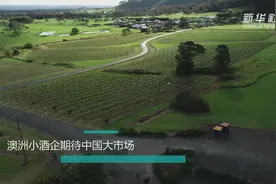 澳洲小酒企期待中国大市场视频封面