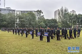 广西南宁：警犬秀技能图片