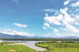 珍稀野生动物成深圳人“好邻居”图片