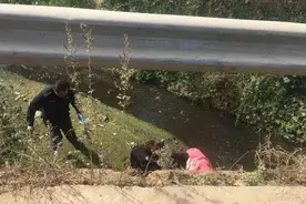 女子骑电动车带孩子上学途中跌落深沟 民警及时施救图片