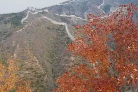 瞰中国|八达岭长城秋意浓视频封面