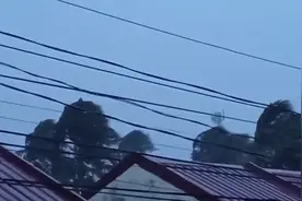 超强台风“天鹅”登陆菲律宾 多地升起最高风讯预警图片