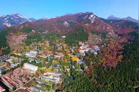 红色文化地标串联历史遗迹 泰安这些暑期研学线路等你来打卡图片