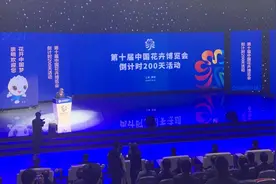 花博会倒计时200天，吉祥物“圆圆”“梦梦”表情包今上线图片
