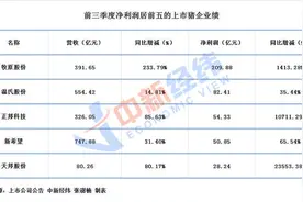 富贵猪中求！五大“最能赚”猪企前三季日赚1.55亿图片