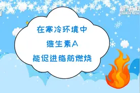 科画丨研究显示：在寒冷环境中，维生素A能促进脂肪燃烧