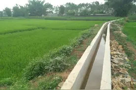 湖南沅江：10亿元旱改水项目背后的巨额利益输送图片