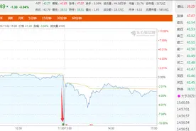 刚刚又闪崩，360亿牛市旗手跌停，13万股民炸锅：“太恐怖”图片