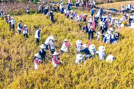 武汉：负重徒步下河干活 千余名高中生上“吃苦课”视频封面