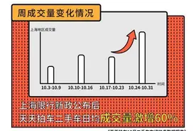 上海外牌限行新政致二手车日均成交量激增图片