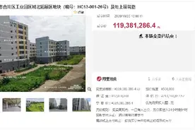 规划年产值百亿元的西部服饰产业园拍卖 重庆国资1.19亿元接盘图片