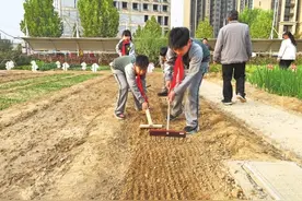 河南中小学开展多种形式劳动教育 课堂搬到“田野”上图片