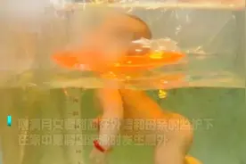 痛惜！女婴在家中游泳窒息身亡，万万没想到是脖圈惹的祸图片